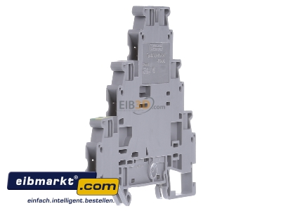 View on the right Phoenix Contact UT 2,5-PE/L/N Feed-through terminal block 5,2mm 24A - 

