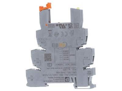 Front view Phoenix PLC-BSC-24 #2980458 Relay socket 5-pin PLC-BSC-24 2980458
