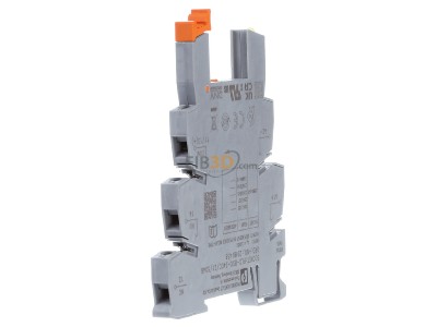 View on the left Phoenix PLC-BSC-24 #2980458 Relay socket 5-pin PLC-BSC-24 2980458
