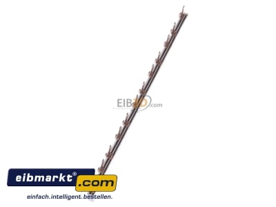 View top right Eaton (Installation) EVG-2PHAS/12MODUL Phase busbar 2-p 10mmÂ² 210mm
