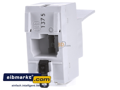 Ansicht hinten ABB Stotz S&J M1175C Schuko-Steckdose 