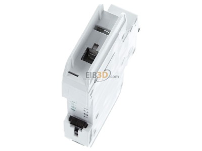 Ansicht oben hinten Eaton FAZ-C10/1-NA Leitungsschutzschalter C 10A, 1p 
