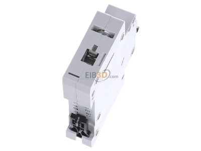 Ansicht oben hinten Eaton FAZ-K10/1 Leitungsschutzschalter K 10A, 1p 