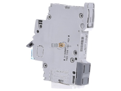 View on the right Hager NBN110 Miniature circuit breaker 1-p B10A 
