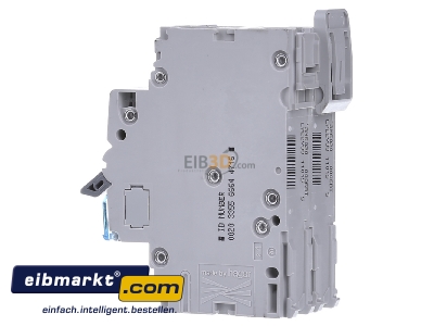 View on the right Hager NBN206 Miniature circuit breaker 2-p B6A
