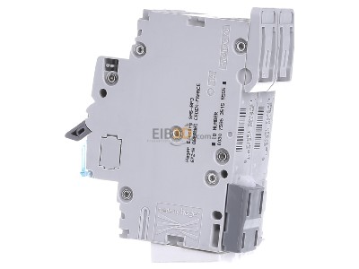 View on the right Hager NCN250 Miniature circuit breaker 2-p C50A 
