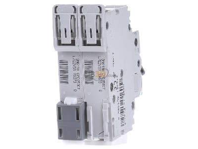 Back view Hager NCN250 Miniature circuit breaker 2-p C50A 
