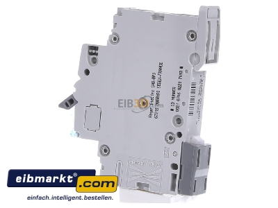 View on the right Hager NDN116 Miniature circuit breaker 1-p D16A
