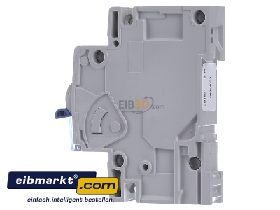 View on the right Doepke DLS 6H B16-1 6kA Miniature circuit breaker 1-p B16A
