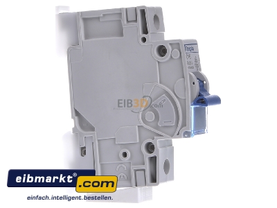 View on the left Doepke DLS 6I C16-1 10 kA Miniature circuit breaker 1-p C16A
