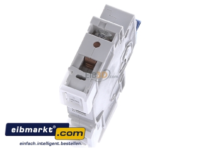 Top rear view Doepke DLS 6I C16-1 10 kA Miniature circuit breaker 1-p C16A
