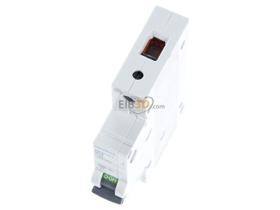 Ansicht oben vorne Siemens 5SL6110-7 LS-Schalter C10A 1pol 6kA 