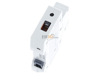 Ansicht oben hinten Siemens 5SL6110-7 LS-Schalter C10A 1pol 6kA 