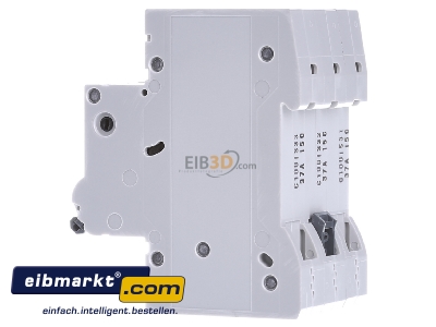 Ansicht rechts Siemens Indus.Sector 5SL6310-7 LS-Schalter C10A, 3pol 
