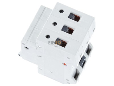 Ansicht oben rechts Siemens 5SL6316-7 LS-Schalter C16A, 3pol 