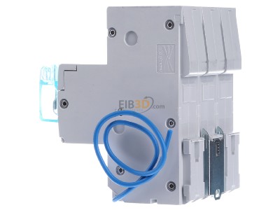 View on the right Hager HTN363C Selective mains circuit breaker 3-p 63A 
