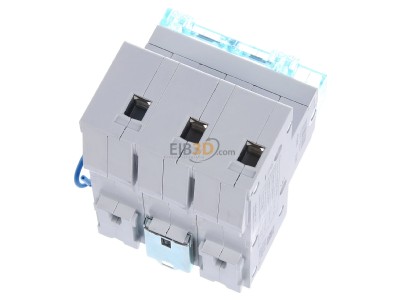Top rear view Hager HTN363C Selective mains circuit breaker 3-p 63A 
