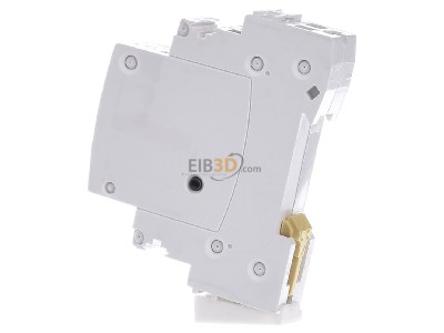 View on the right Schneider Electric A9C30111 Latching relay 24V AC 
