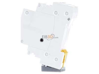 View on the right Schneider Electric A9C30811 Latching relay 230...240V AC 
