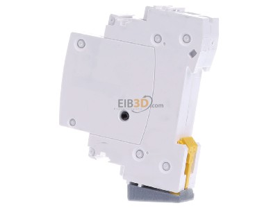 View on the right Schneider Electric A9C30831 Latching relay 230...240V AC 
