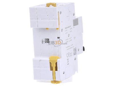 Back view Schneider Electric A9D02616 Earth leakage circuit breaker C16/0,01A 
