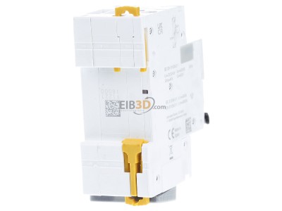 Back view Schneider Electric A9D32616 Earth leakage circuit breaker C16/0,03A 
