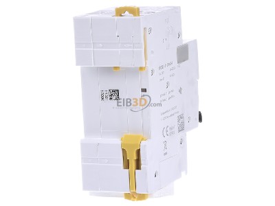 Ansicht hinten Schneider Electric A9D33613 FI/LS-Schalter 13A C 30mA Si 