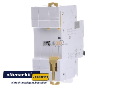 Back view Schneider Electric A9D56606 Earth leakage circuit breaker B6/0,03A 

