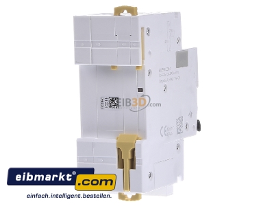 Ansicht hinten Schneider Electric A9D56606 FI/LS-Schalter 6A B 30mA A 