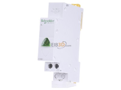 Frontansicht Schneider Electric A9E18331 Leuchtmelder gn 12-48VAC/DC 