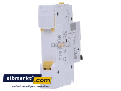 Back view Schneider Electric A9F03106 Miniature circuit breaker 1-p B6A - 
