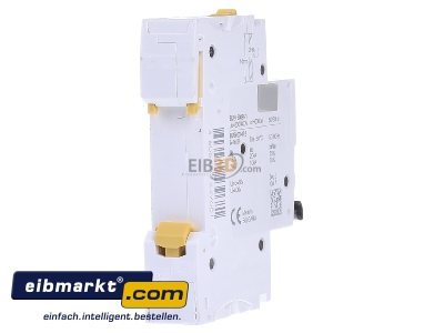 Back view Schneider Electric A9F03113 Miniature circuit breaker 1-p B13A - 
