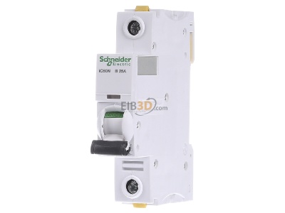 Front view Schneider Electric A9F03125 Miniature circuit breaker 1-p B25A 
