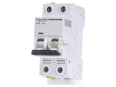 Front view Schneider Electric A9F03206 Miniature circuit breaker 2-p B6A 
