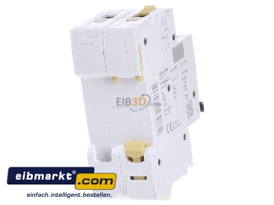 Back view Schneider Electric A9F03225 Miniature circuit breaker 2-p B25A - 
