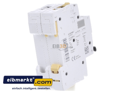 Back view Schneider Electric A9F03240 Miniature circuit breaker 2-p B40A - 
