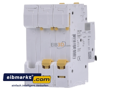 Back view Schneider Electric A9F03316 Miniature circuit breaker 3-p B16A
