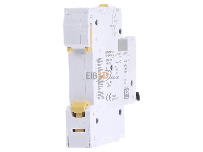 Back view Schneider Electric A9F04103 Miniature circuit breaker 1-p C3A 
