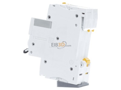 View on the right Schneider Electric A9F04216 Miniature circuit breaker 2-p C16A 
