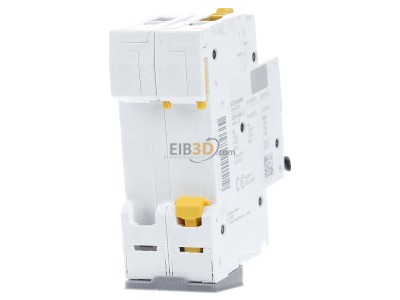 Back view Schneider Electric A9F04216 Miniature circuit breaker 2-p C16A 
