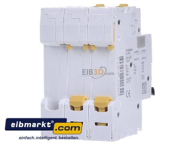 Back view Schneider Electric A9F04310 Miniature circuit breaker 3-p C10A - 
