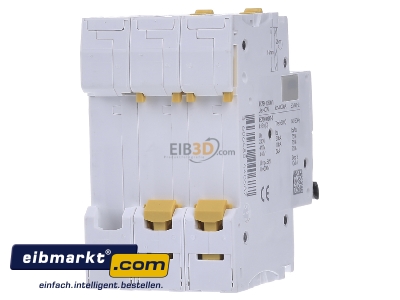 Back view Schneider Electric A9F04325 Miniature circuit breaker 3-p C25A
