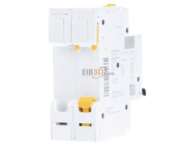 Back view Schneider Electric A9F07202 Miniature circuit breaker 2-p C2A 
