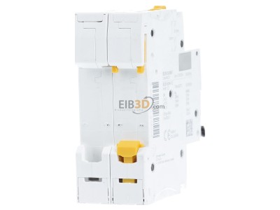 Ansicht hinten Schneider Electric A9F07250 LS-Schalter 2P 50A C IC60H 