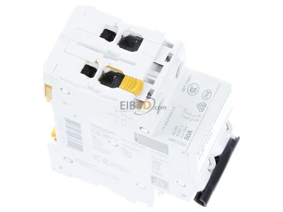 Ansicht oben links Schneider Electric A9F07250 LS-Schalter 2P 50A C IC60H 