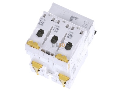 Ansicht oben hinten Schneider Electric A9F92320 LS-Schalter 3P 20A Z IC60L 