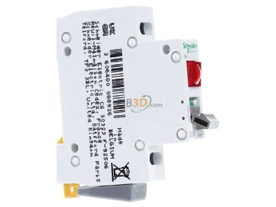Ansicht links Schneider Electric A9S61220 Lasttrennschalter 2P 20A m.Leuchte 