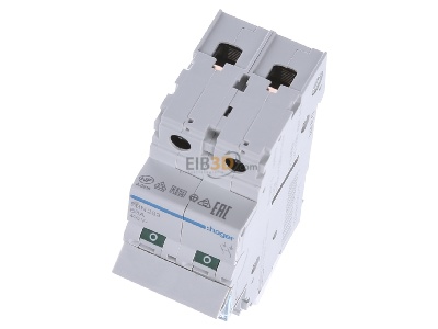 View up front Hager SBN263 Switch for distribution board 63A 
