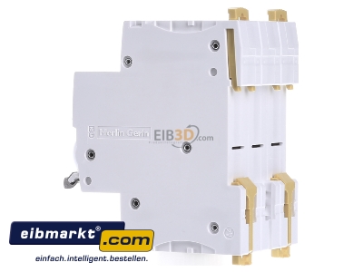 Ansicht rechts Schneider Electric A9S65363 Lasttrennschalter 3P 63A 