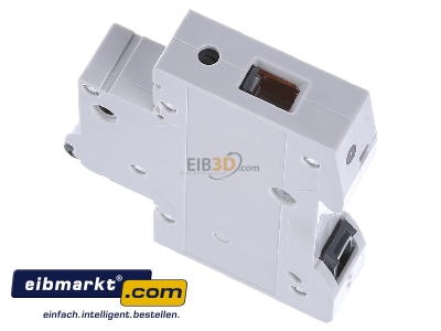 Ansicht oben rechts Siemens Indus.Sector 5SL4108-6 Leitungsschutzschalter 230V,10KA,1p.,B,8A 